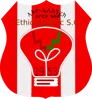 Ethio Electric FC