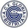 A.C.F. Gloria Bistrita