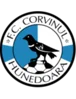 Corvinul Hunedoara
