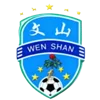 Wenshan Team