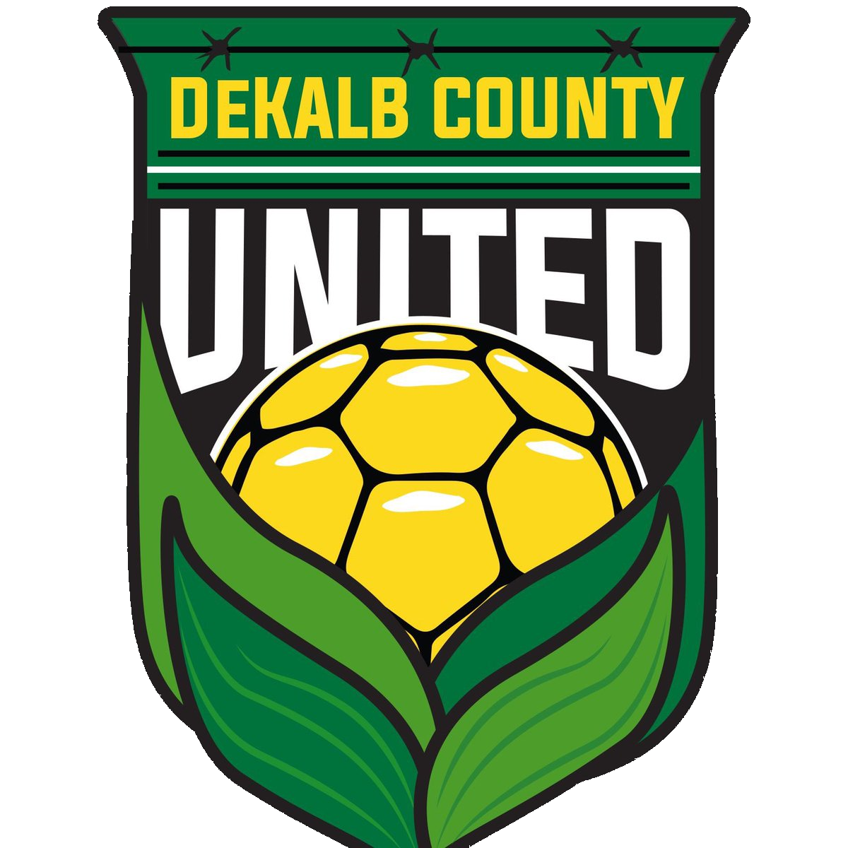 Logo DeKalb County United (W)
